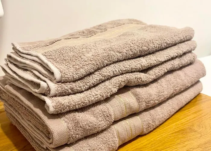 Moderne T2 - Gare Nancy